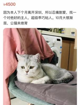 闲鱼为什么取消搜索不到,闲鱼拍照搜索物品吗