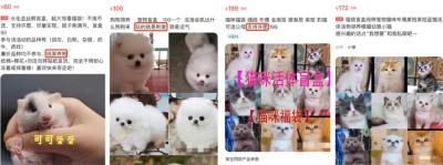 为什么闲鱼不能卖活体,那么鲸鱼奶能不能给人喝