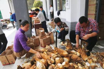 淳安淘宝代发货在哪里发货,为什么感觉义乌的外来人口越来越少了