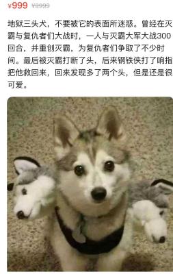 闲鱼上怎么查找淘宝店家,闲鱼卖家怎么申请淘宝客服介入
