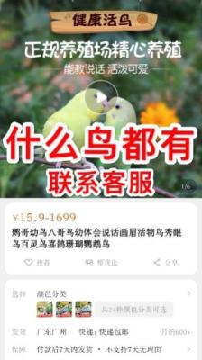 闲鱼中的东西怎么在淘宝卖,闲鱼上卖东西怎么搞淘宝同款参数的