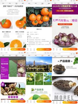 淘宝店铺设置好评在哪里,手机淘宝怎样看自己的好评率