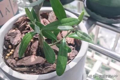 在淘宝适合开什么店铺,薇娅淘宝网店叫什么名字
