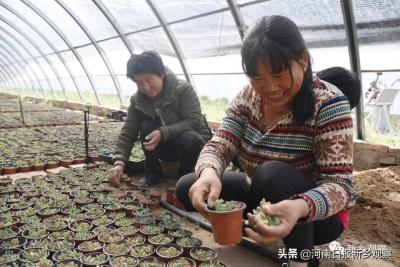 淘宝付费专栏靠什么赚钱,自媒体赚钱最快的捷径是什么