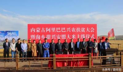 手机淘宝购物基金在哪里,前几天我在用支付宝淘宝买的基金