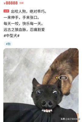 闲鱼如何不让人直接拍,闲鱼怎么设置货卖出去不给退货谁可以告诉我