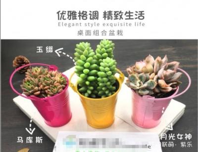 水果店开业群广告语怎么写,中小企业面对这次肺炎如何把损失降到最低
