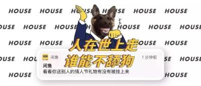 闲鱼流量提醒怎么关闭不了,发布了三个产品