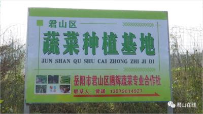 岳阳学淘宝运营学费多少,岳阳科目三收费标准