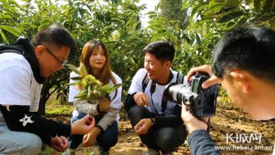 淘宝芭芭农场红包多少钱,淘宝芭芭农场种作物有什么用