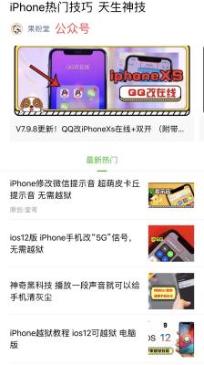 苹果闲鱼为什么老闪退,闲鱼买的东西一直不发货不想等24小时退款