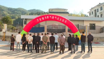户户通缴费单可以补吗,马路上最近晒的谷子该怎么处置