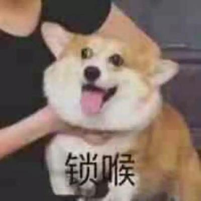 用什么淘宝省钱软件好,淘宝省钱卡在支付宝关闭了去哪开