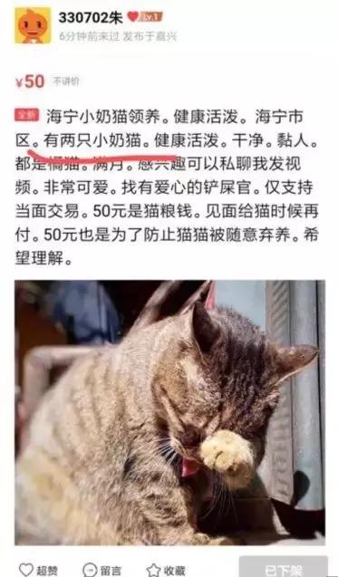闲鱼上怎么找帖子,闲鱼一天可以写满优质帖子吗