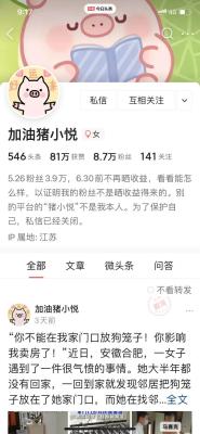 猪小悦为什么天天出爆款,头条收益每天几分几毛