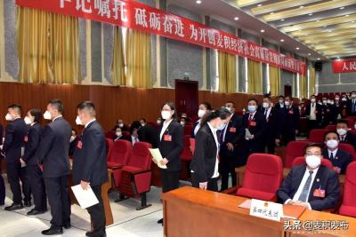 港九直通车怎么购买,拼多多开直通车怎么弄