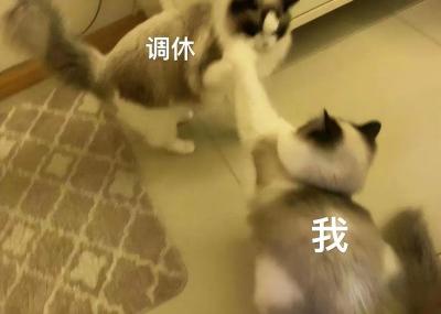 国庆单休放假补班,单休的人2021年国庆怎么放假