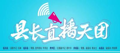 淘宝忘记打5分哪里看,淘宝登陆密码忘记了怎么办