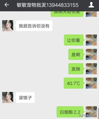 闲鱼领养狗狗怎么领取,什么样的狗狗不能买
