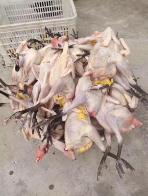 淘宝上什么都能买吗,可以在淘宝的药店里买药吗
