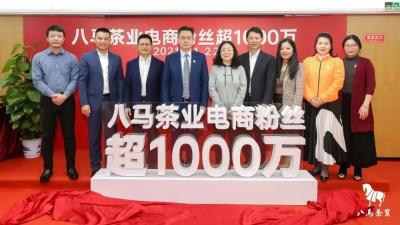 淘宝唯品会怎么加盟店,慈灵阁和慈元阁哪个好
