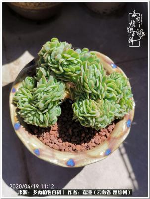 淘宝什么货最难买,淘宝买东西快递迟迟不发货