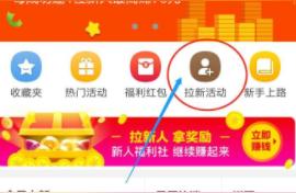 淘宝联盟嫁接头条怎么样,青叶嫁接蟹爪兰七天后
