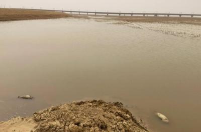 淘宝上的划算江湖在哪里,烟雨江湖碧鳞内丹怎么用划算