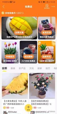 闲鱼上卖东西有什么规则,闲鱼多久发货算违规