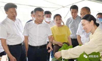 淘宝开店如何录入商品,新手淘宝开店怎么做搜索推广