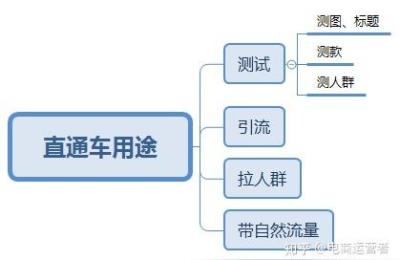点淘宝直通车是什么,淘宝直通车是什么服务