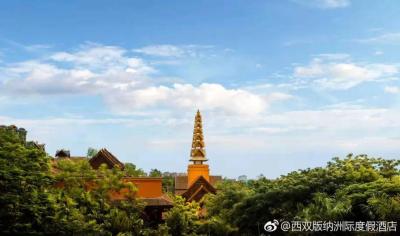淘宝红树林是什么,如果在网上买东西会选择什么APP