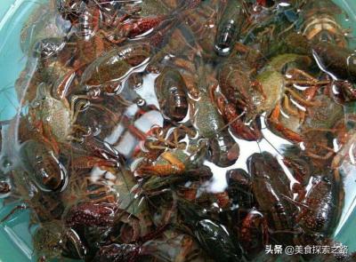 辣椒如何打造电商爆款,最喜欢的那款叫什么