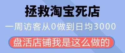 淘宝店没有访客怎么办,淘宝钻级店铺访客和流量都很少