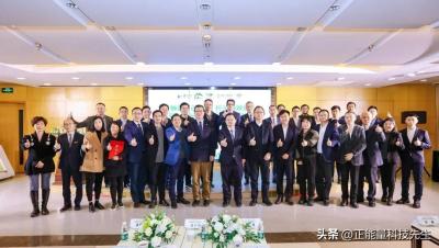 双11淘宝如何贯标,2021中国发展的特征