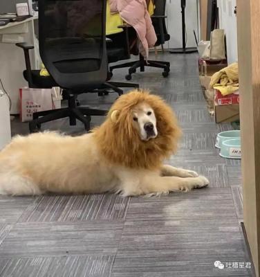 起什么淘宝名好听,淘宝前200名半价抢得到吗