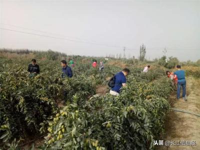 和田岳阳拼多多店群,你知道山东12个五A级旅游景点分别是那几个吗