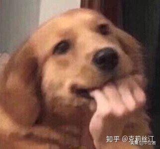 闲鱼通用流量包怎么取消,闲鱼一机多号有什么影响