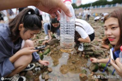 淘宝体验值在哪里查询,淘宝先用后付的商品怎么搜到的