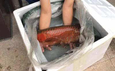男生做淘宝卖什么产品,卖什么比较好呢