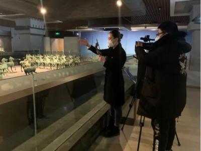 vip账号怎么输入在淘宝,淘宝会员帐号是什么