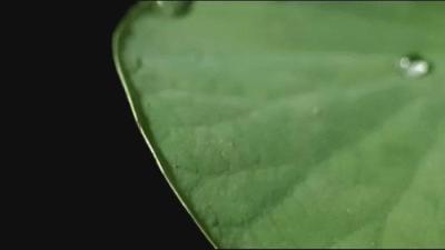 淘宝什么版本有指纹,淘宝iphone7plus无后摄的都是什么机