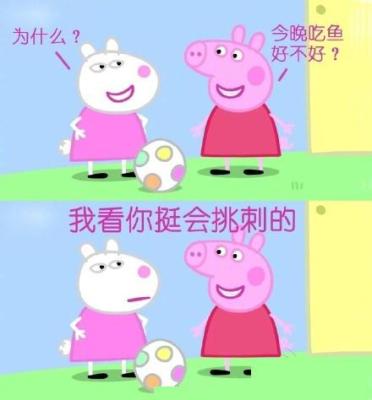 淘宝小猪复制多少钱,给仔猪食用接生粉能有多大的效果