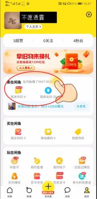 闲鱼为什么不显示商品,为什么在闲鱼里没有全新的贴纸