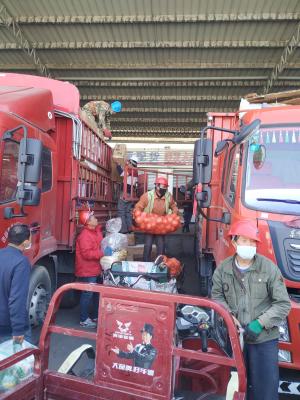 民生直通车怎么防骗,从乡镇遴选到省直机关