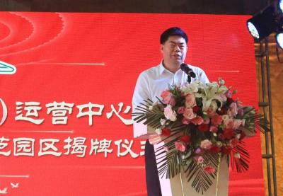 直通车运营是什么职位,直通车计划名称什么意思