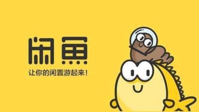 闲鱼权重降低怎么恢复正常,闲鱼经营小店选哪个