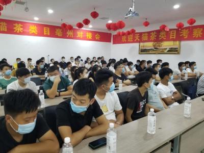 淘宝茶是什么类目,醪糟属于什么类目