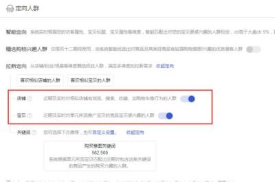 淘宝搜索推广是什么,淘宝联盟怎样新增定向计划