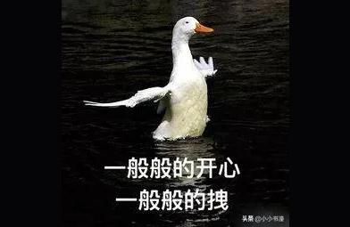 淘宝联盟技术费多少,快手挂小黄车收费标准是怎样的